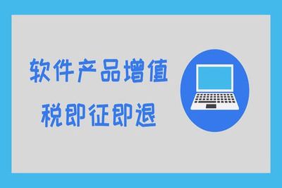 哪些项目可享受即征即退?
