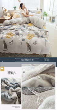 朵西娜 ba版雪花绒四件套冬季加厚保暖双面绒被套珊瑚绒床单人三件套床上用品