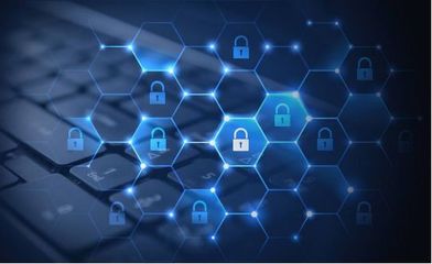 视频安全成网络信息安全重点 金盾软件以专业方案助力视频网络安全建设